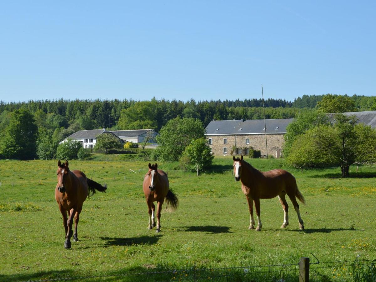 Leuk Huis Met Zwembad Cetturu Pokoj fotografie